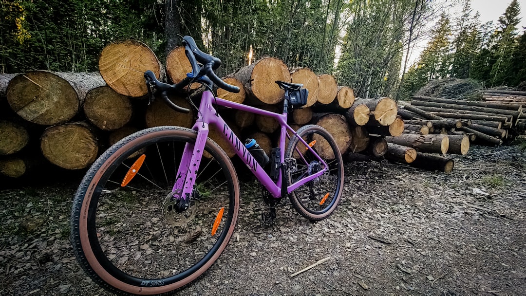 a purple bike parked next to a pile of logs